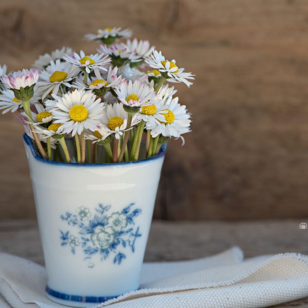 arreglo floral margarita