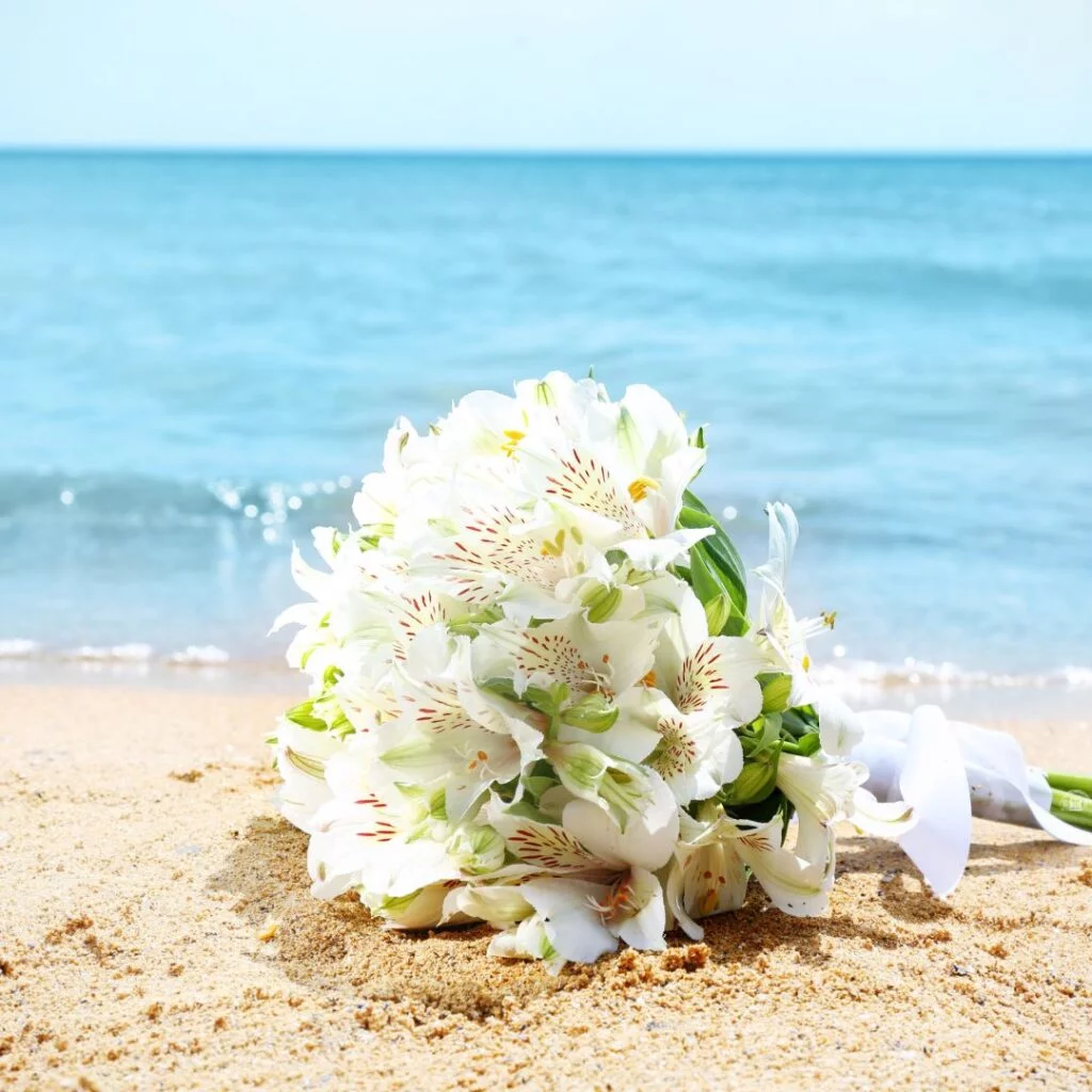 Las Mejores Flores para una Boda en la Playa, image size:1024x1024